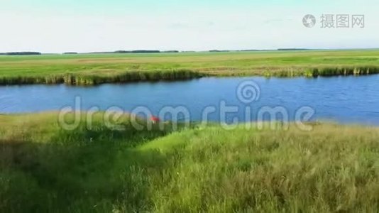 河流空中景观影院？ 在绿色的田野上飞翔视频