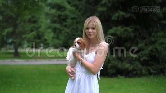 年轻漂亮的女人拥抱着公鸡斯帕尼尔狗。 公园视频