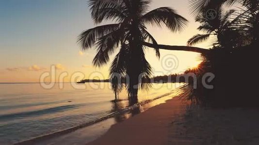 热带岛屿，有椰子棕榈树。 金色日出和美丽的海景。视频