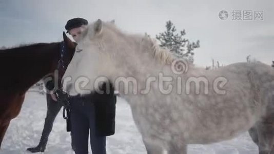 冬天，一对夫妇带着马和小马在农场户外散步。 一男一女抚摸着马。视频