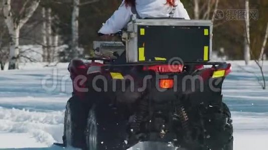 白天的冬天森林。 一个有姜发的女人白天骑着雪车。 背面视频