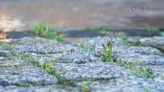 快关门。 潮湿的鹅卵石在城市和草地之间的石头。 夏季雨视频