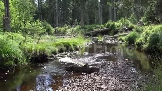夏季小溪流在美丽的山脉哈兹森林景观区的晴天拍摄视频