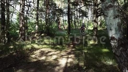 在森林小径上骑山地自行车的活泼的女人。 在树林里骑自行车的女人视频