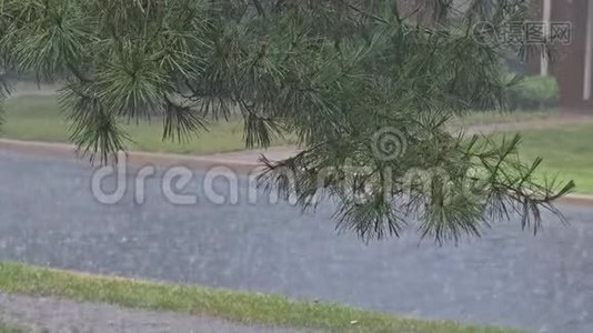 雨水滴在沥青上的水坑里，由于雨季的大雨，雨水淹没了道路上的洪水视频