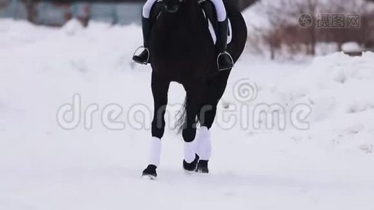 一个年轻的女人在一个村庄骑马。 一匹马在雪地上行走视频