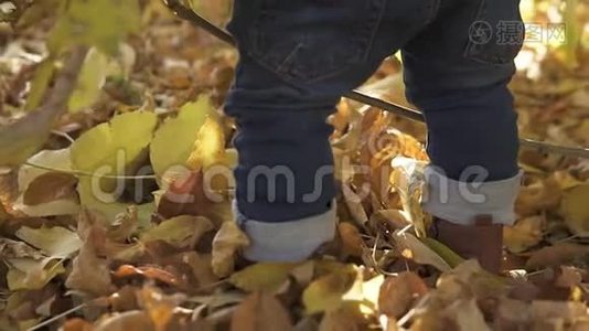 一个一岁的小男孩，穿着棕色靴子，双腿特写，站在秋天公园秋天公园的落叶树旁视频