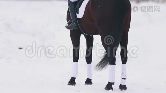 一位留着长发的年轻女子在一个村庄骑马。 站在雪地上。 背面视频