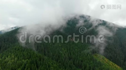 从山顶的云层中飞过。 高山，清晨，日出，自然森林视频