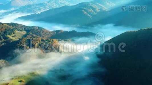秋山雾中美丽的彩色树木的空中拍摄视频