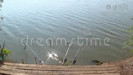 在炎热的夏日里，池塘里的钓竿等待着鱼咬人视频