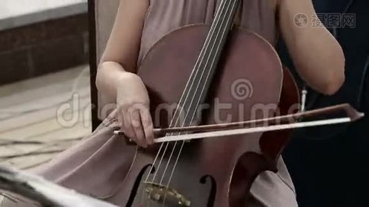 音乐四重奏。 在四重奏小提琴手中演奏大提琴的女孩。 快关门。视频