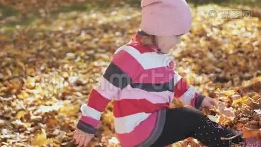 一个三岁的女孩在一个阳光明媚的秋天玩着一堆落叶..视频