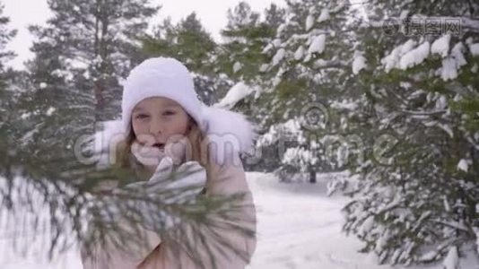 小女孩冻在冰冷的树林里。视频