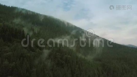 神秘而多雾的无人机在山上的雨林上空飞行。 近景。 静态视频