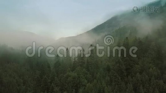 神秘而多雾的无人机在山上的雨林上空飞行。 关闭视野。 向后移动视频