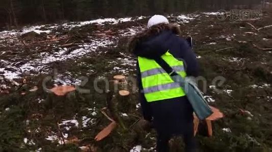 女林业检查员检查采伐现场视频
