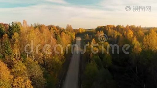 秋天森林中乡村道路的鸟瞰图视频