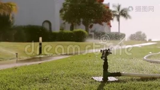 喷灌系统。 早上给草坪浇水。 近景视频