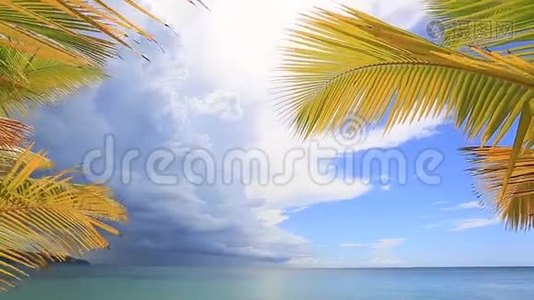 棕榈叶勾勒出蓝色泻湖的景色。视频