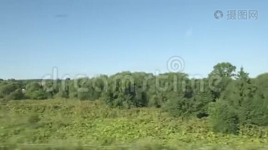 高速列车驶过田野和低矮的树木视频
