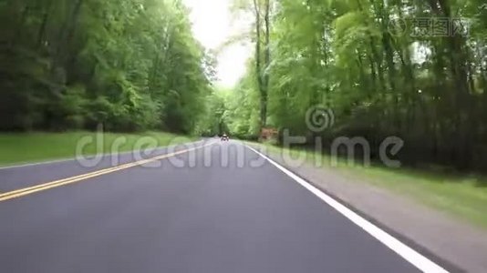 沿着摩托车穿过国家公园的森林视频