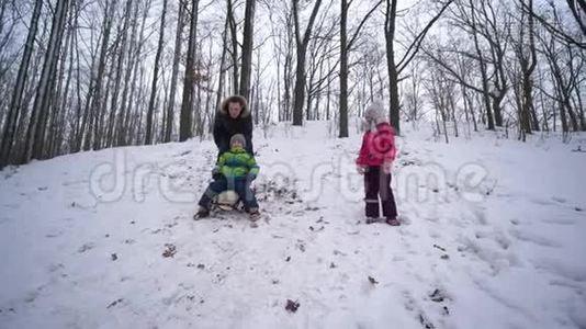 节日期间，一家人在雪林里啜泣，幸福快乐视频