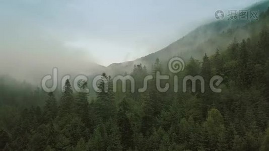 神秘而多雾的无人机在山上的雨林上空飞行。 近景视频