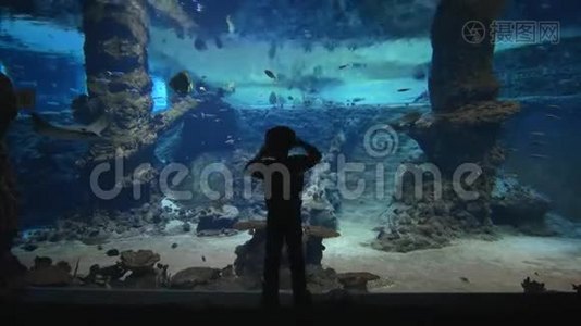 水族馆里的鱼世界，小男孩在大海洋馆里考虑鱼和黄貂鱼，海洋自然，清澈的蓝色视频