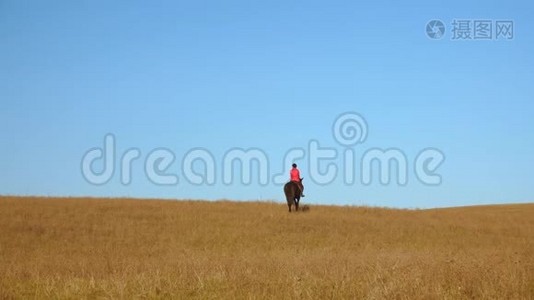 骑马的女骑手。 慢动作。 背面视频