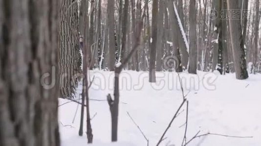 清晨，一对年轻的男女在冬天的森林里奔跑和交谈。视频
