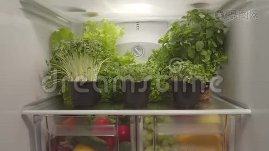 冰箱里有机食品和蔬菜。视频