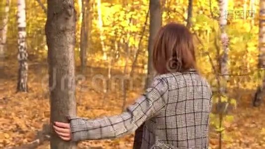 一个戴眼镜，穿外套的年轻女子走在秋天的森林里。 黄色的叶子视频