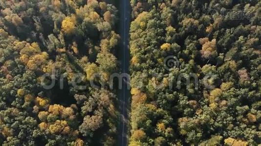 喀尔巴阡山脉森林中的细高速公路夏季空中拍摄视频