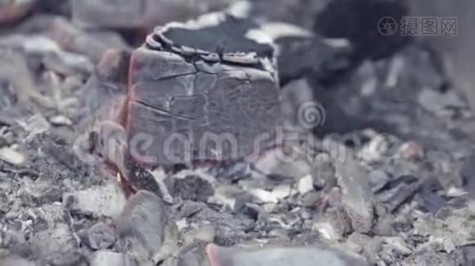 燃烧有机煤在火中烧烤的特写镜头。。烤肉架上烧煤的特写镜头。股票视频