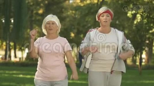 两位高级女士在外面训练，在公园锻炼前热身，健康视频