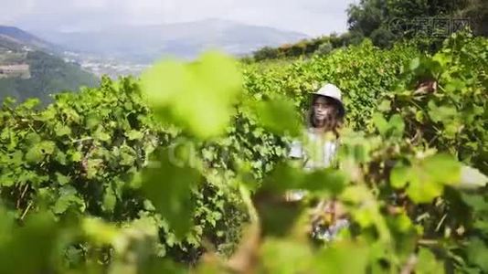 一排排藤蔓植物之间戴帽子的女孩视频