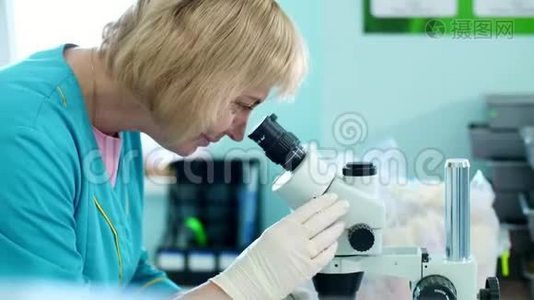 实验室工作人员的肖像，戴白手套的生物化学家，研究，用显微镜检查，在实验室。 科学视频