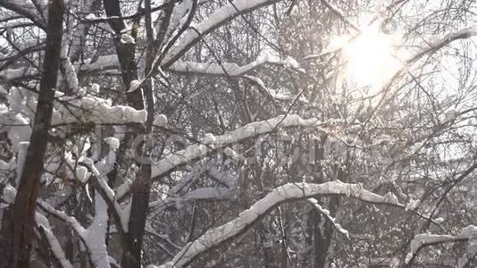 太阳雪花视频