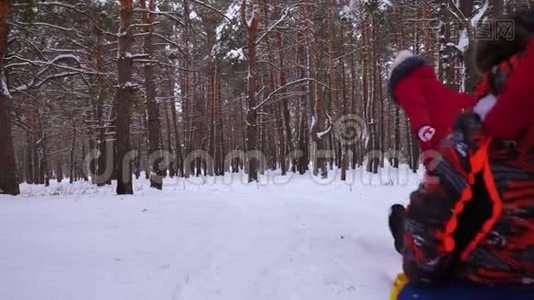 孩子们在松树公园的雪道上雪橇爸爸笑了。 幸福的一家人在冬天的针叶林里玩耍。 圣诞节视频