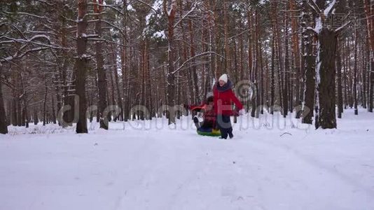 孩子们在松树公园的雪道上雪橇爸爸笑了。 幸福的一家人在冬天的针叶林里玩耍。 圣诞节视频