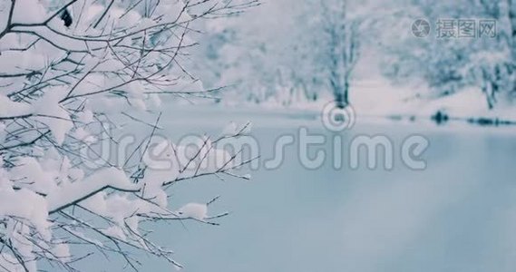 阳光明媚，寒冷的冬天早晨，树枝上有新鲜的雪。 4k决议视频