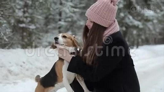 快乐的美丽的年轻女子戴着粉红色的帽子，在冬天抚摸她的比格犬。 友谊，宠物和人类。 候选人和候选人视频