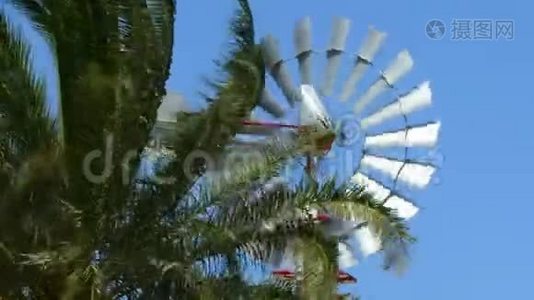 古老的老式风车在棕榈枝之间旋转，阳光明媚的一天。视频