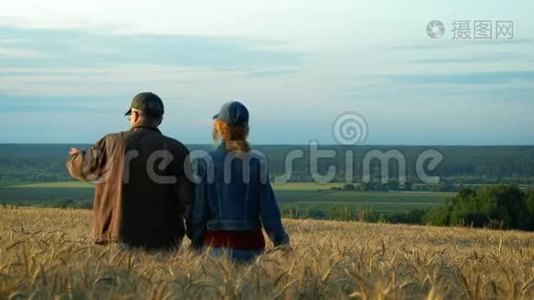 幸福的一对，中年男人和女人在夕阳下的夏日傍晚，在麦田上散步，边说边笑。视频