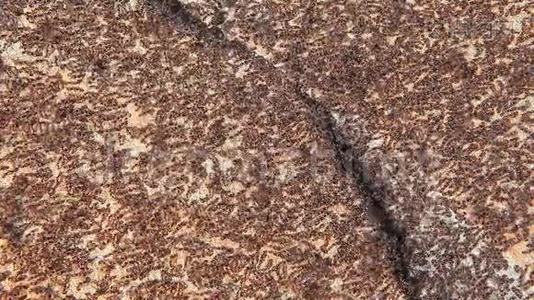 蚁虫天然石材背景.视频