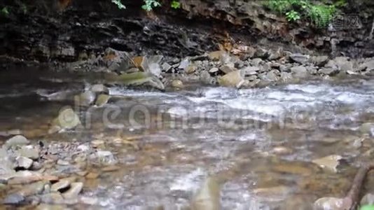 近上山溪流.. 浅溪在森林里..视频