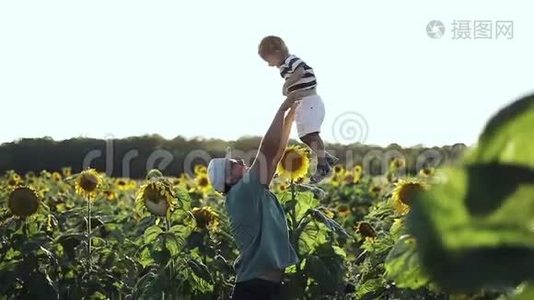 快乐的一家人在树林里向日葵在夏天。视频