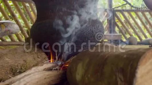 亚马逊土著酋长崩溃和烹饪视频