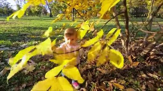 可爱的女婴站在美丽的黄树旁，在树上玩树叶视频